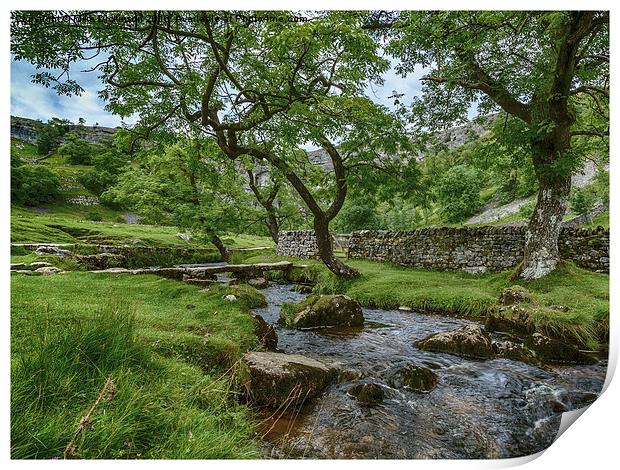  Malham Cove brook Print by Mike Dickinson