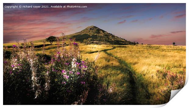 Golden Fields of Roseberry Topping Print by richard sayer