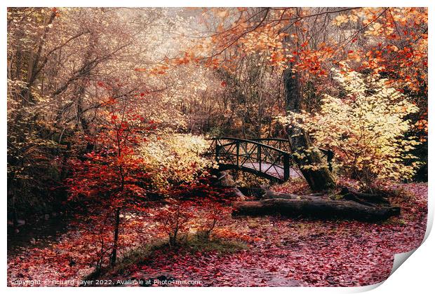 Autumn Bridge Print by richard sayer