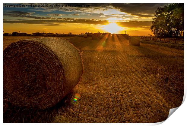  Making hay whilst the sun shines Print by richard sayer
