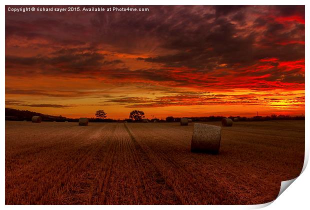  Field of Fire Print by richard sayer