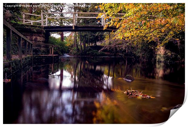  Autumnal Tranquility Print by richard sayer