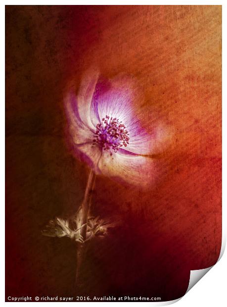Abstract Anemone Print by richard sayer