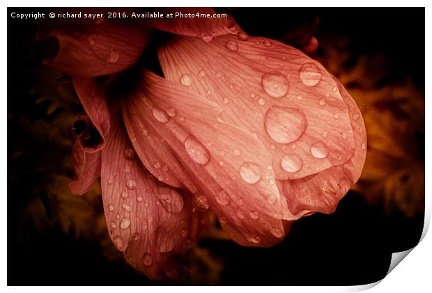 After the Rain Print by richard sayer