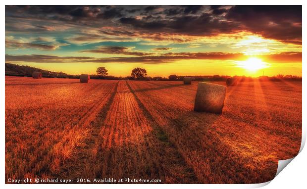 Farmers work Print by richard sayer