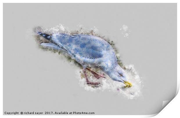 Water Colour Gull Print by richard sayer