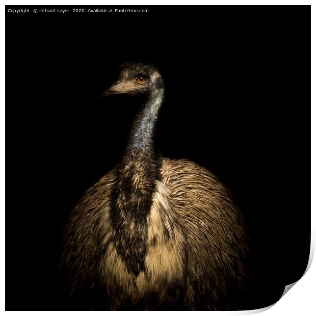 Emu Portrait Print by richard sayer