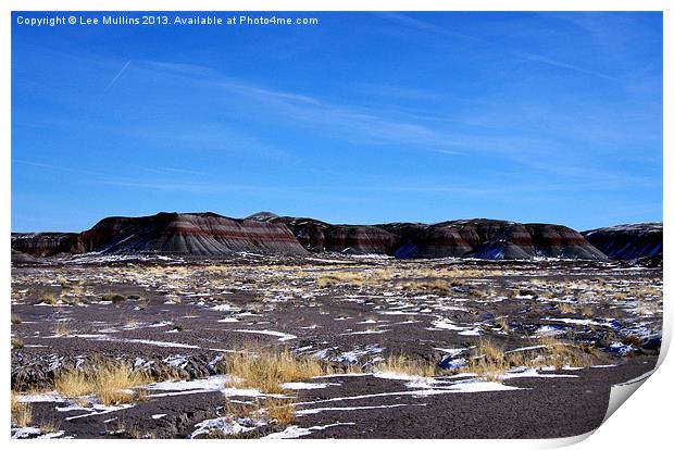 Painted Desert desolation Print by Lee Mullins