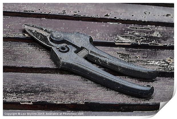 Altered secateurs Print by Lee Mullins