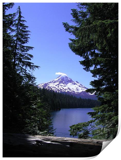 Mount Hood, Lost Lake, Oregon Print by Jay Huckins
