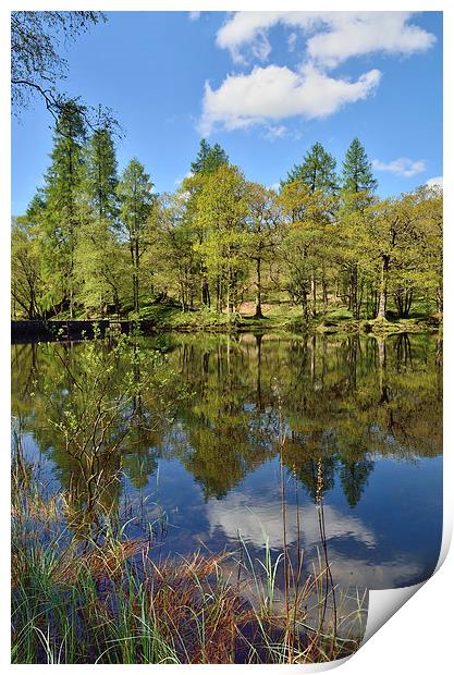 Yew Tree Tarn Print by Gary Kenyon