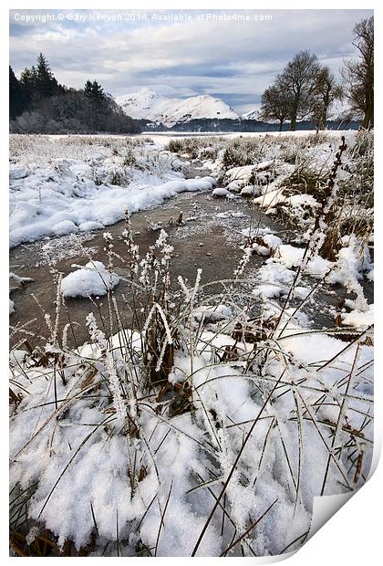 Frozen Stream At Derwentwater Print by Gary Kenyon