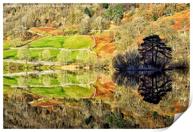  Rydalwater Reflections Print by Gary Kenyon