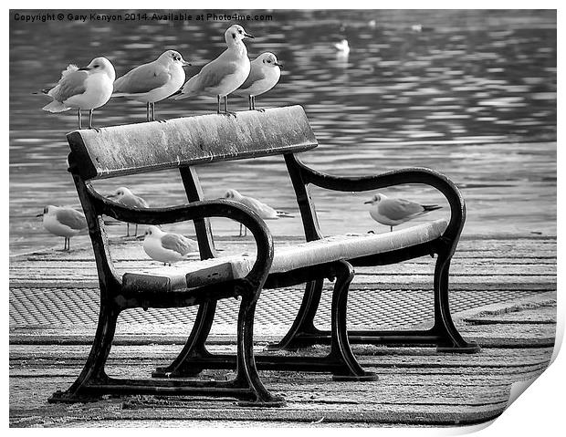  Bird Bench At Stanley park Print by Gary Kenyon