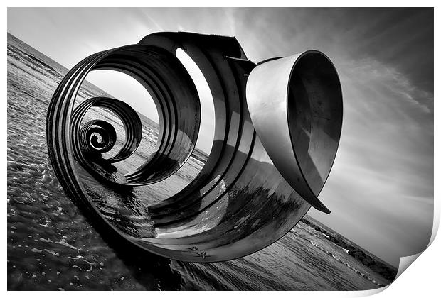 Mary's Shell Angled Black and White Print by Gary Kenyon