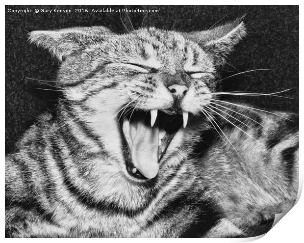 Sinbad The Cat Print by Gary Kenyon