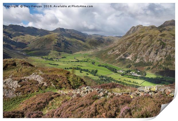 Lingmoor Views of Bowfell and the Langdale Pikes Print by Gary Kenyon