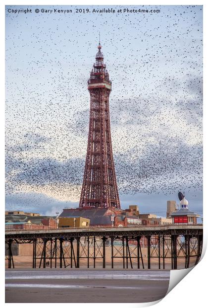 Murmurating Starlings by Blackpool Tower Print by Gary Kenyon