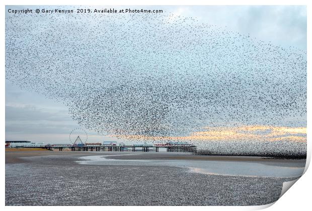Starlings over Central Pier Print by Gary Kenyon