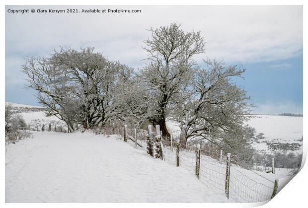 A snow covered field  Print by Gary Kenyon