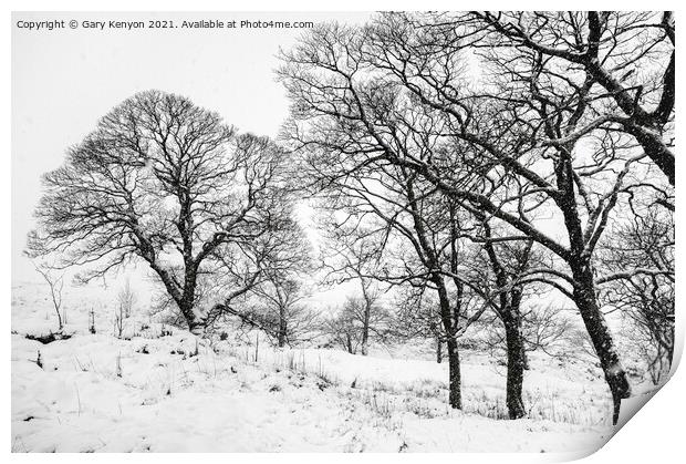 Winter Tree's Print by Gary Kenyon
