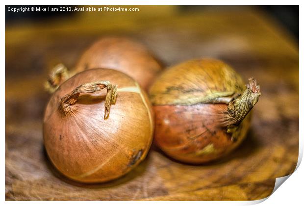 Know your Onions Print by Thanet Photos