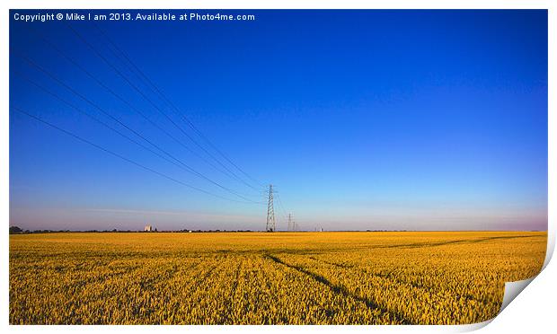 Golden Corn fields of Kent Print by Thanet Photos
