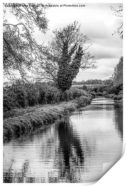 Tree by the river Print by Thanet Photos