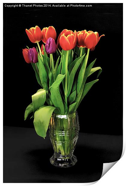Beautiful Tulips in a glass vase Print by Thanet Photos