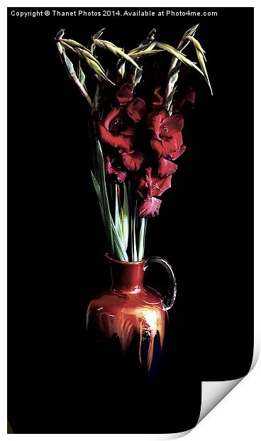 Stunning Red Gladiola flowers in a beautiful jug Print by Thanet Photos