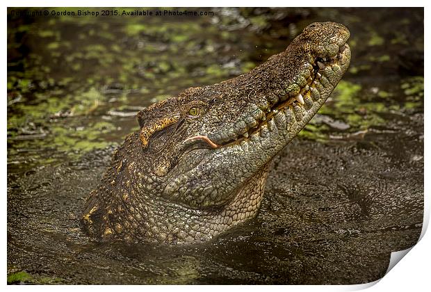  cROCK Print by Gordon Bishop