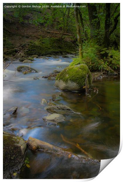 Woodland stream Print by Gordon Bishop