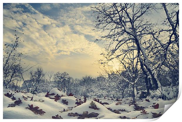 Winter Landscape Print by Jelena Jovanovic