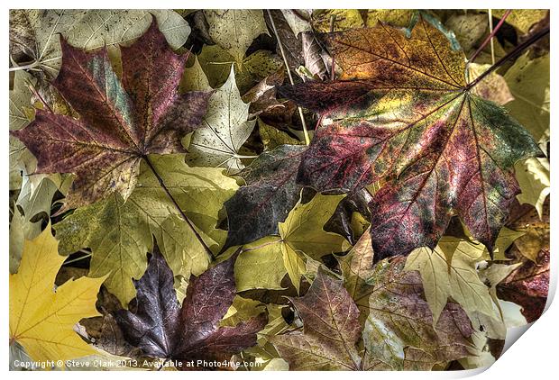 Autumn Colours Print by Steve H Clark