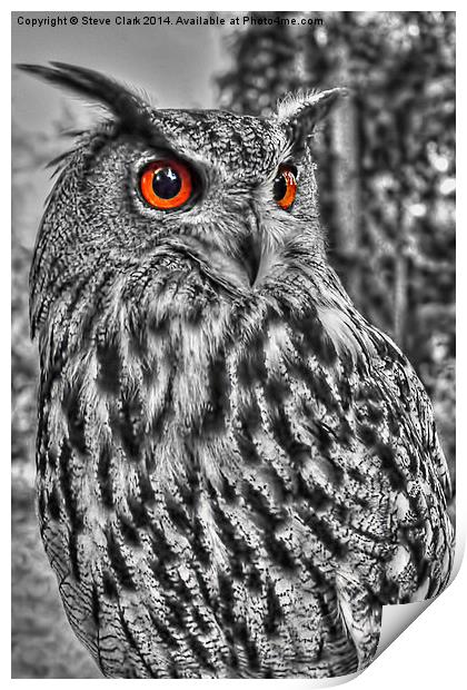 Long Eared Owl (Black and White) Print by Steve H Clark