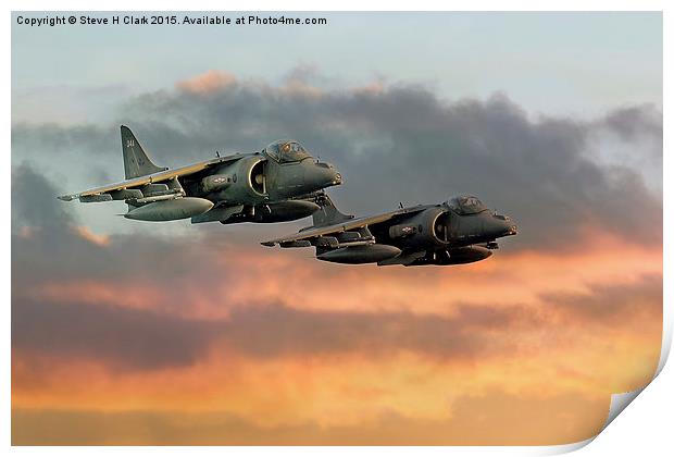 Harriers at Sunset Print by Steve H Clark