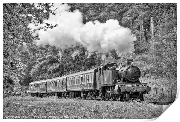The Branch Line - Black and White Print by Steve H Clark