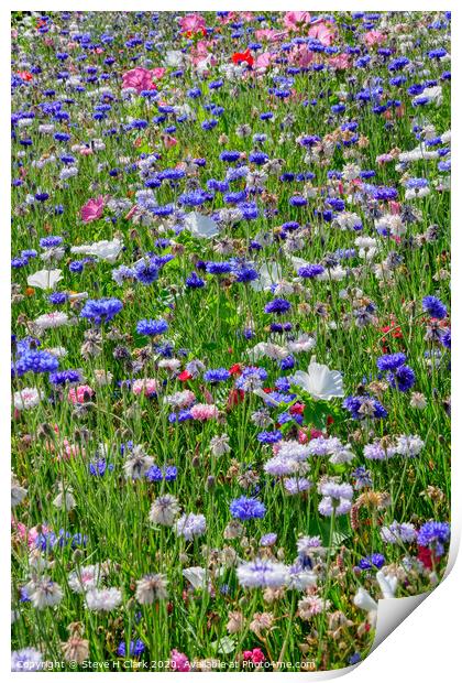 Wildflower Meadow Print by Steve H Clark