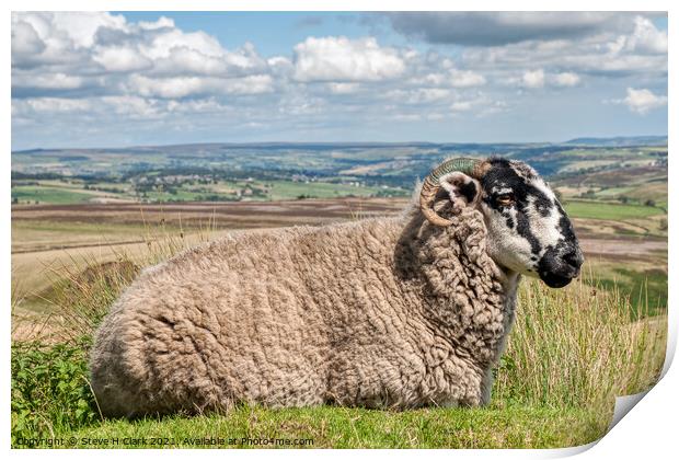 Sheep on the Moor Print by Steve H Clark