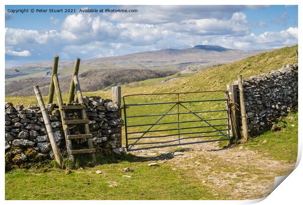 Ingleborough above the village of Feizer in the Yorkshire Dales Print by Peter Stuart