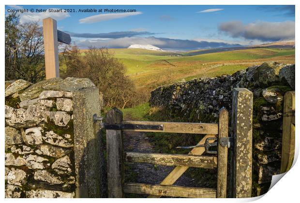 Hill walking between Langcliffe, Attermire Scar and Settle via t Print by Peter Stuart