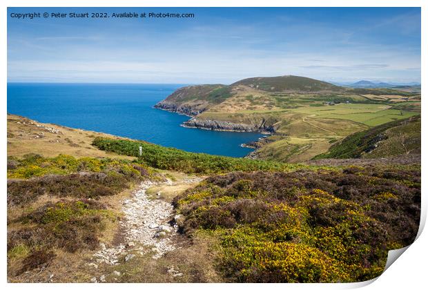 Walking on the Welsh Coast Path around Aberdaron on the Llyn Pen Print by Peter Stuart