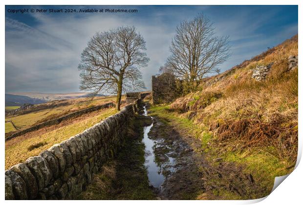 Abandoned stone farmhouse on the Calderdale Way Print by Peter Stuart