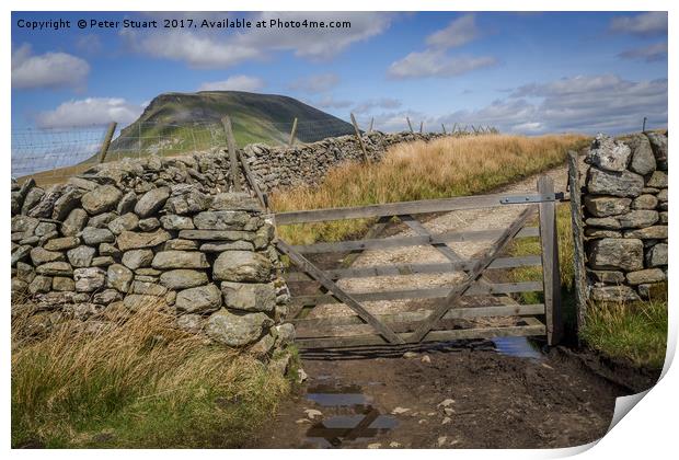 Pen-Y-Ghent from near Helwith Bridge Print by Peter Stuart