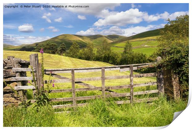 The Howgills and Sedbergh Print by Peter Stuart