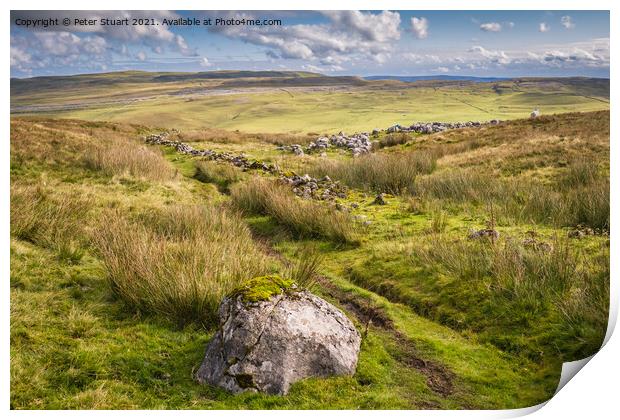 Fountains Fell from Malham Tarn Print by Peter Stuart