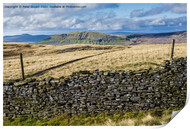 Fountains Fell from Malham Tarn Print by Peter Stuart