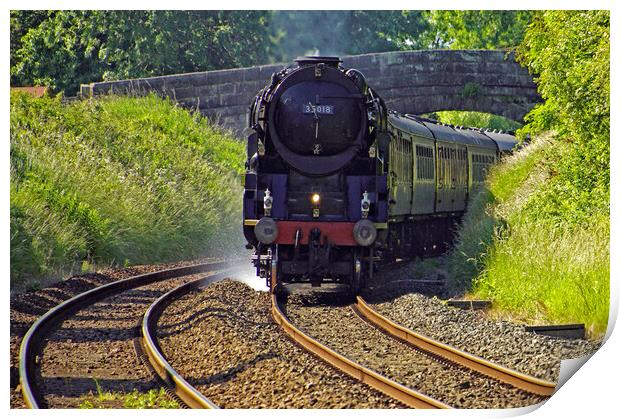 Steam locomotive 35018 British India Line. Print by David Birchall