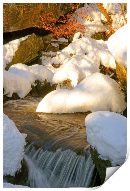 Winter stream at Padley Gorge. Print by David Birchall