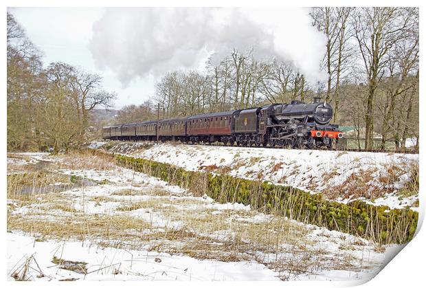 Steam locomotive 45690 Leander Print by David Birchall